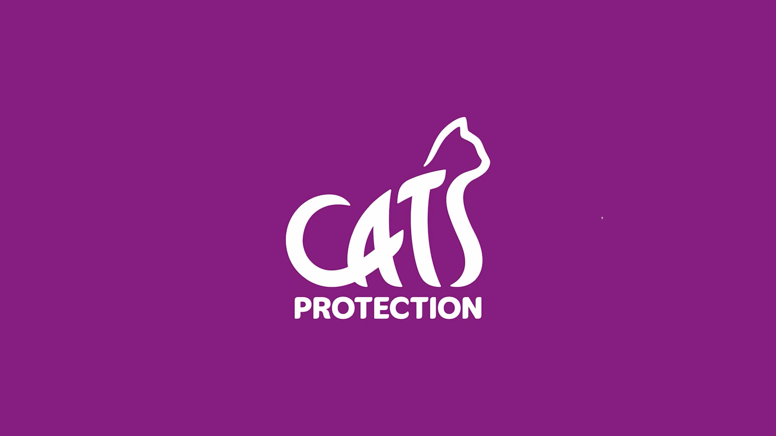 Cats Protection Rebrand LUKECHARLES